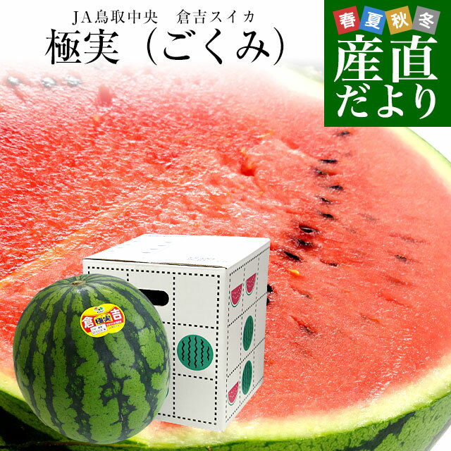 鳥取県産　JA鳥取中央倉吉スイカ　極実（ごくみ） 秀品 3L以上の大玉 7.5キロ以上 送料無料 西瓜 すいかのサムネイル