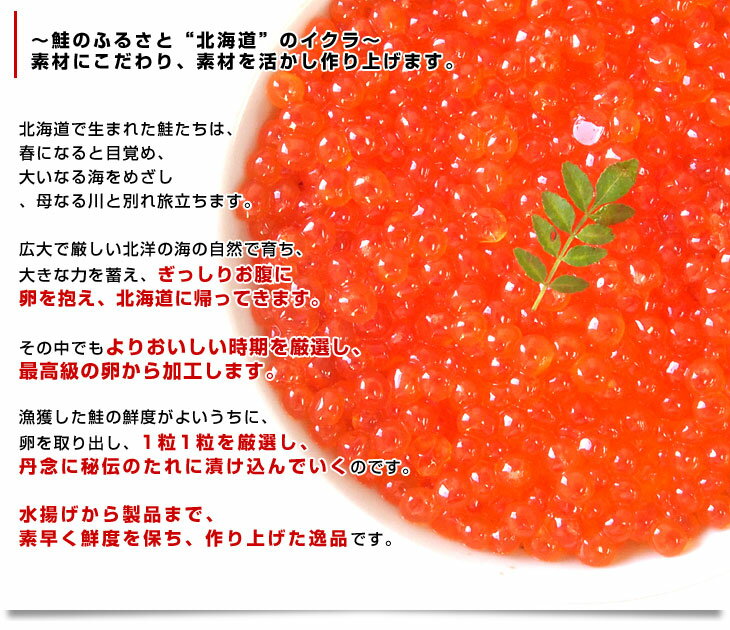 北海道産 いくら醤油漬け 200g×2パック 北海道産 いくら醤油漬け 200g×2パック
