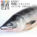北海道から直送 北海道加工 時鮭(トキシラズ) まるごと1尾 大型2.5キロ (ロシア産) 送料無料 ときさけ トキサケ 冬ギフト シーフード