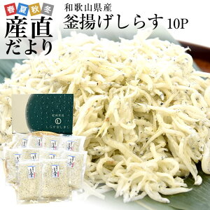 和歌山県より産地直送 釜揚げしらす 1キロ (100g×10P) ※冷凍便 送料無料