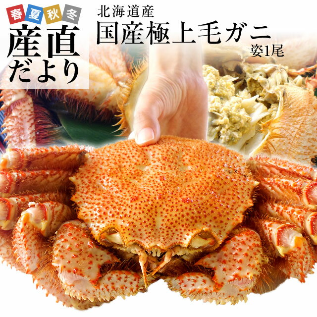 北海道より直送 北海道産 浜ゆで毛ガニ 超特大1尾800g 送料無料 カニ かに 毛蟹