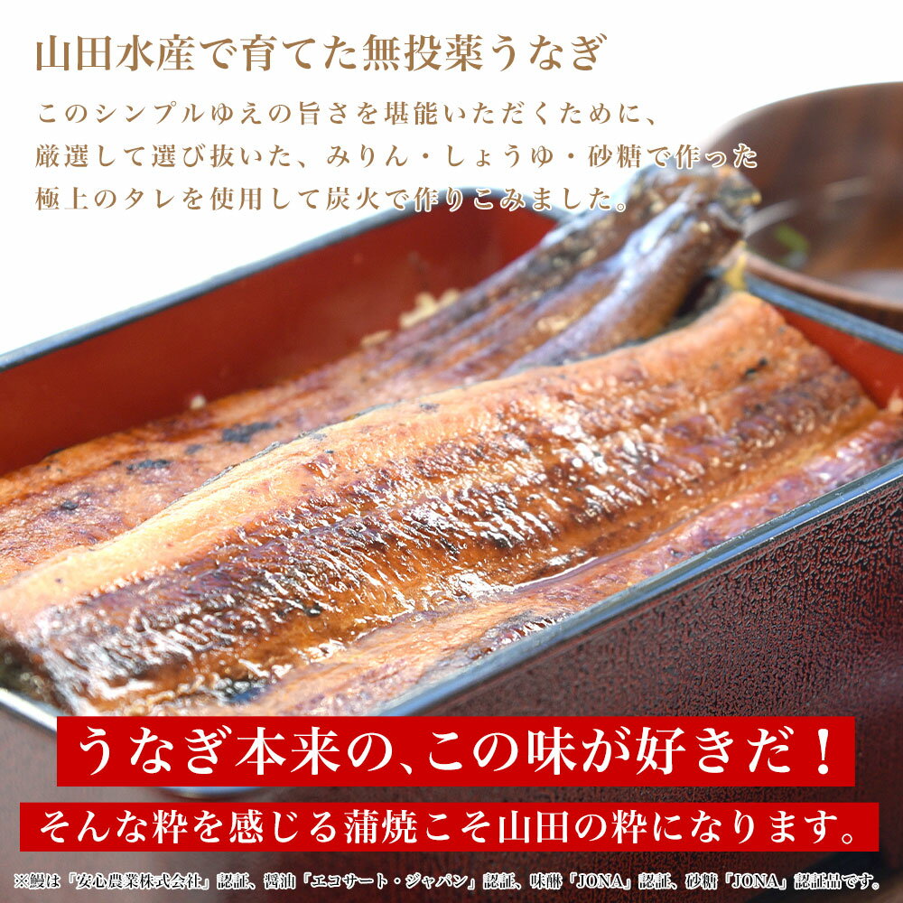 格安即決 鹿児島県産 山田水産の極上国産うなぎ蒲焼 山田の粋 やまだのいき 長焼 140g 4尾 鰻蒲焼 ウナギ クール冷凍便 全国組立設置無料 Www Corleondastore Com Br 格安即決 鹿児島県産 山田水産の極上国産うなぎ蒲焼 山田の粋 やまだのいき 長焼 140g 4尾 鰻蒲焼 ウナギ クール冷凍便 全国組立設置無料 Www Corleondastore Com Br