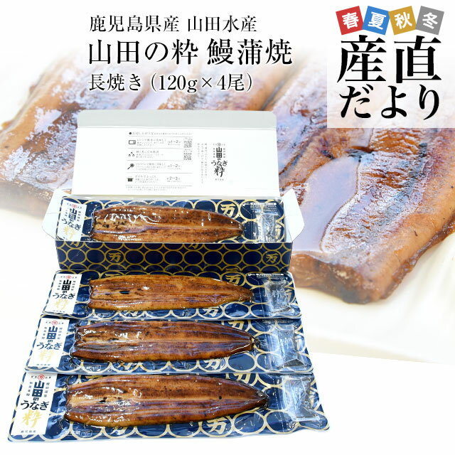 鹿児島県産 山田水産の極上国産うなぎ蒲焼「山田の粋（やまだのいき）」長焼（120g×4尾）送料無料 鰻蒲焼 ウナギ ※ク…