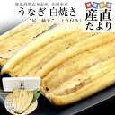 鹿児島県志布志産 山田水産のうなぎ 白焼き 160g前後×3尾詰め(柚子こしょう付き)送料無料 鰻師 加藤尚武さん 鰻 ウナギ 白焼き クール冷凍便 ギフト