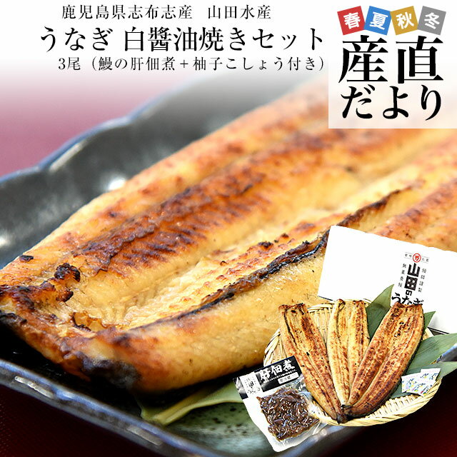 白焼き 鹿児島県志布志産 山田のうなぎ白醤油焼きセット「白醤油焼き160g前後×3尾」＋「鰻の肝佃煮40g」＋「柚子こしょう3P」送料無料 ウナギ 白醤油 肝 佃煮 クール冷凍便 ギフト お中元 御中元 夏ギフト