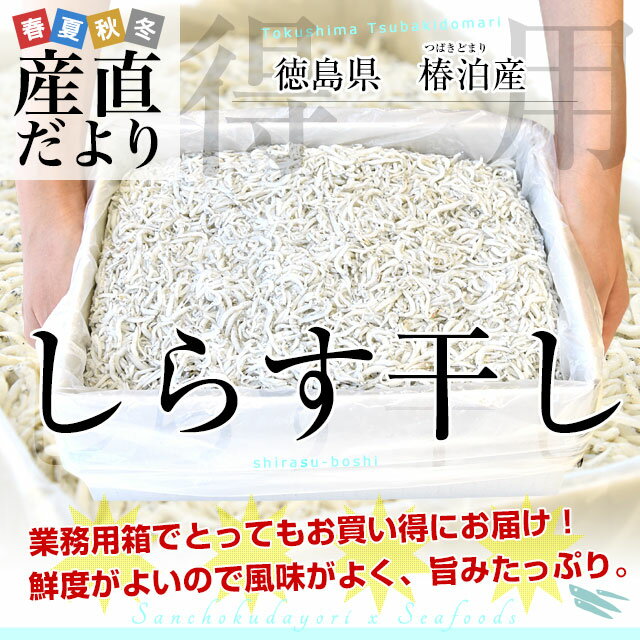 徳島県椿泊産　しらす干し　1キロ入り　送料無料　業務用箱　しらす　シラス　シーフード