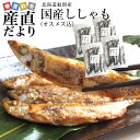 北海道から発送 北海道紋別産 脂たっぷりの美味しいシシャモ（オスメス込）1.2キロ（300g×4P） ...