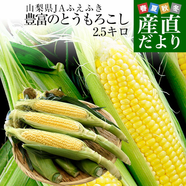 山梨県より産地直送 JAふえふき 豊富支所 とうもろこし (ゴールドラッシュ) 2Lサイズ 約2.5キロ (6本入り) 送料無料 ※クール便