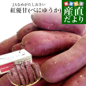 茨城県より産地直送 JAなめがたしおさい さつまいも「紅優甘 (べにゆうか)」 Mサイズ 5キロ(18本前後) 送料無料 さつま芋 サツマイモ 薩摩芋