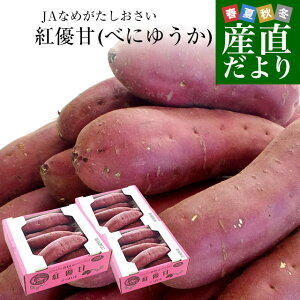 茨城県より産地直送 JAなめがたしおさい さつまいも「紅優甘 (べにゆうか)」 SからSSサイズ 1キロ×3箱セット 送料無料 さつま芋 サツマイモ 薩摩芋