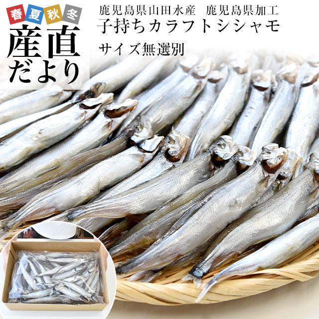 【ふるさと納税】＜北海道産＞舛岡水産の炙り珍味3種セット ふるさと納税 人気 おすすめ ランキング あぶり 炙りししゃも ししゃも シシャモ 珍味 セット 北海道 むかわ町 送料無料 MKWZ002