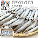 鹿児島県山田水産より発送 鹿児島県加工 サイズ無選別 子持ちカラフトシシャモ(アイスランド産)1キロ(60尾前後)※クール冷凍便 送料無料 ししゃも シーフード