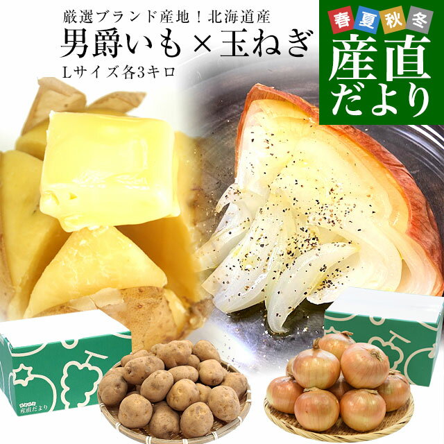 厳選ブランド産地！じゃがいも×玉ねぎ2箱セット（北海道産 男爵いも×玉ねぎ　Lサイズ各3キロ）送料無料　ジャガイモ　玉ねぎ　玉葱　馬鈴薯　野菜　きたみらい　市場発送のサムネイル