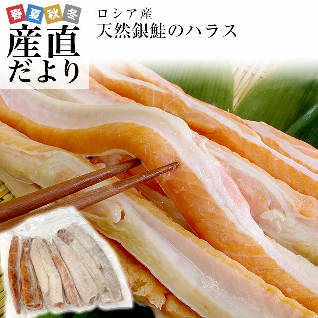 送料無料　天然銀鮭のハラス（希少な腹身の部位）　ロシア産　1キロのサムネイル
