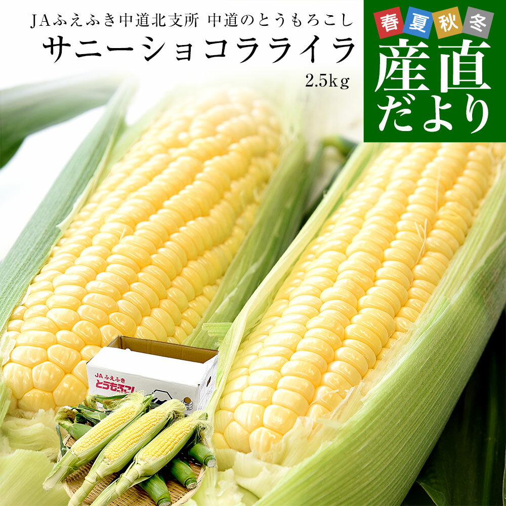 山梨県より産地直送 JAふえふき中道北支所 中道のとうもろこし（サニーショコラライラ）約2.5キロ 2Lサイズ（6本入）送料無料 とうもろこし クール便