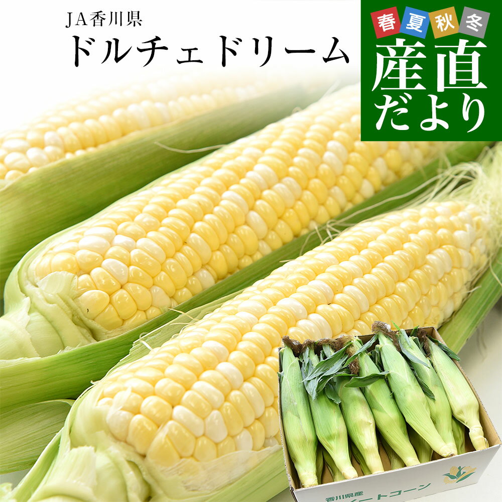 香川県より産地直送 JA香川県 ドルチェドリーム 約4.5キロ　2LからLサイズ　（10本から13本入）とうもろこし トウモロコシ ※クール便