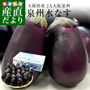 大阪府産　JA大阪泉州　泉州水なす　A級品20玉　送料無料　なす　茄子　ナス　市場発送