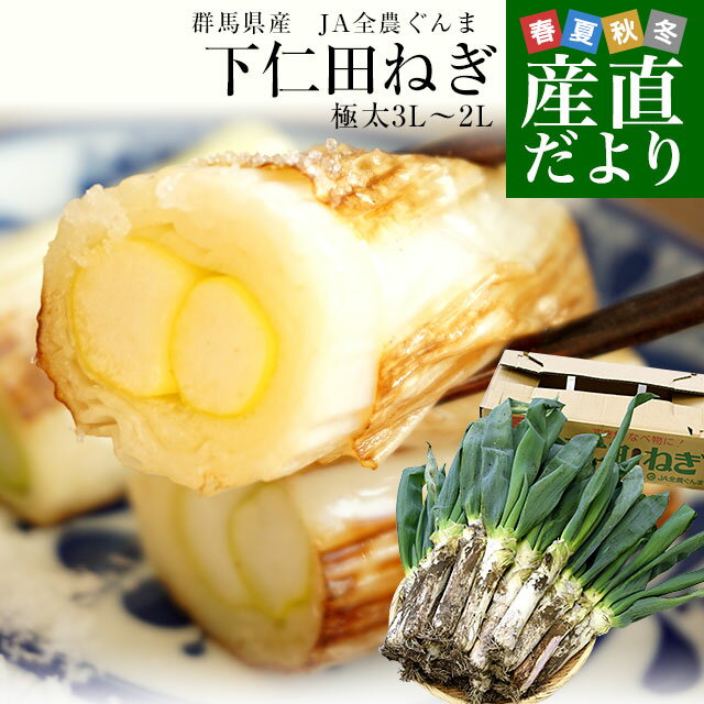 最安値】 新品、未使用 本場下仁田ネギ ４キロ×４箱 野菜 - hipzmag