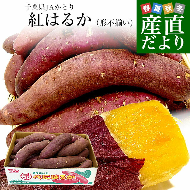 千葉県産 JAかとり 紅はるか BLサイズ 約5キロ 10本から13本前後（形不揃い） 送料無料 さつまいも サツマイモ 薩摩芋 新芋 市場発送