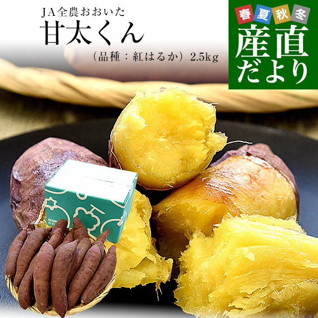 大分県産 JAおおいた 甘太くん Mサイズ 約2.5キロ（14本前後）送料無料 かんたくん サツマイモ 薩摩芋 甘藷 かんしょ 紅はるか べにはるかのサムネイル