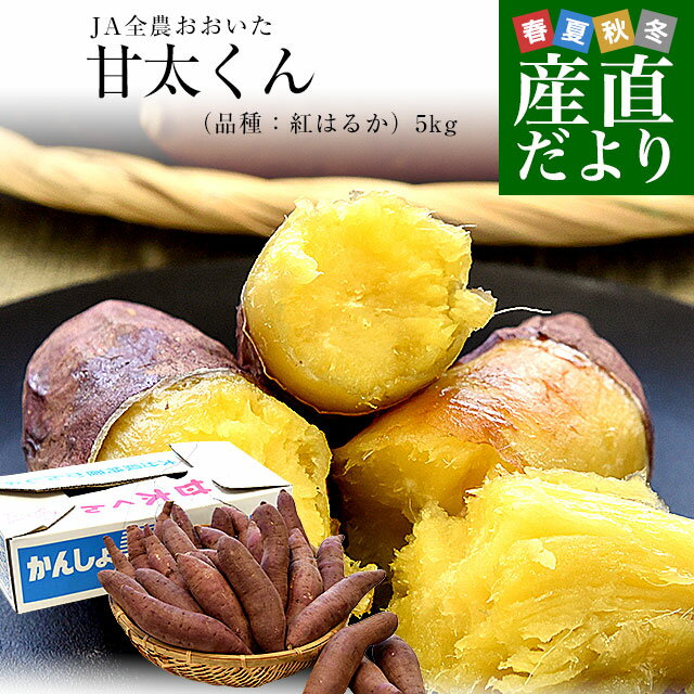大分県産 JAおおいた 甘太くん Mサイズ 約5キロ（28本前後）送料無料 かんたくん サツマイモ 薩摩芋 甘藷 かんしょ 紅はるか べにはるかのサムネイル
