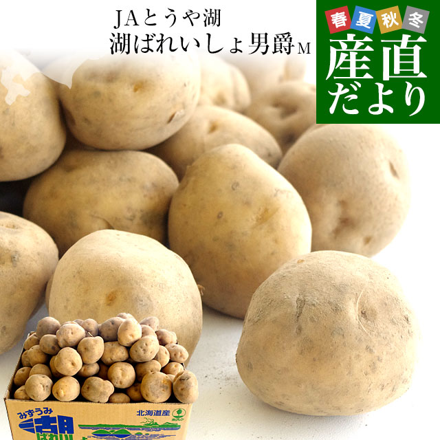 北海道より産地直送 JAとうや湖 じゃがいも 湖ばれいしょ「男爵」 Mサイズ 10キロ 馬鈴薯 ジャガイモ 送料無料