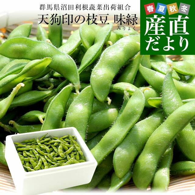 群馬県より産地直送 天狗印の枝豆 味緑（みりょく）約1キロ 群馬県沼田利根蔬菜出荷組合 送料無料 ※クール便のサムネイル