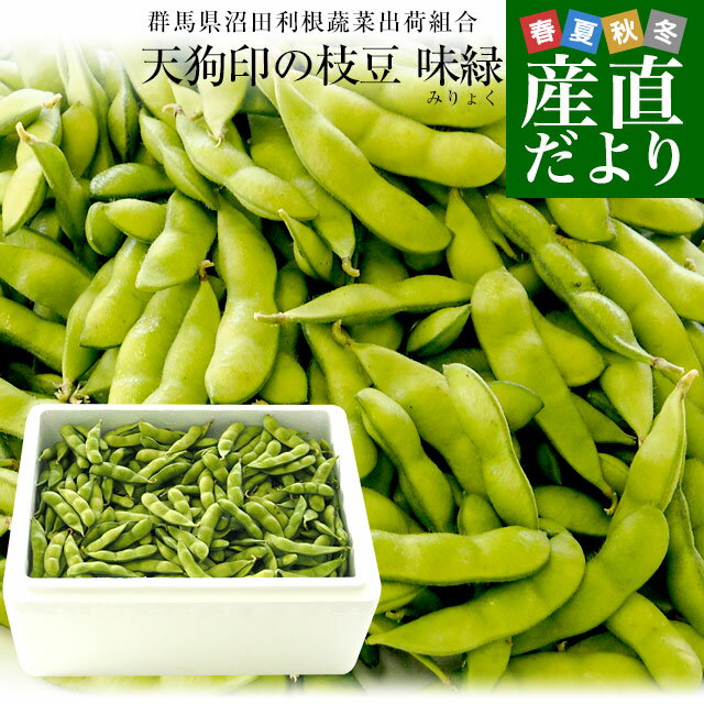 群馬県より産地直送 天狗印の枝豆 味緑（みりょく）約2キロ 群馬県沼田利根蔬菜出荷組合 送料無料 ※クール便のサムネイル