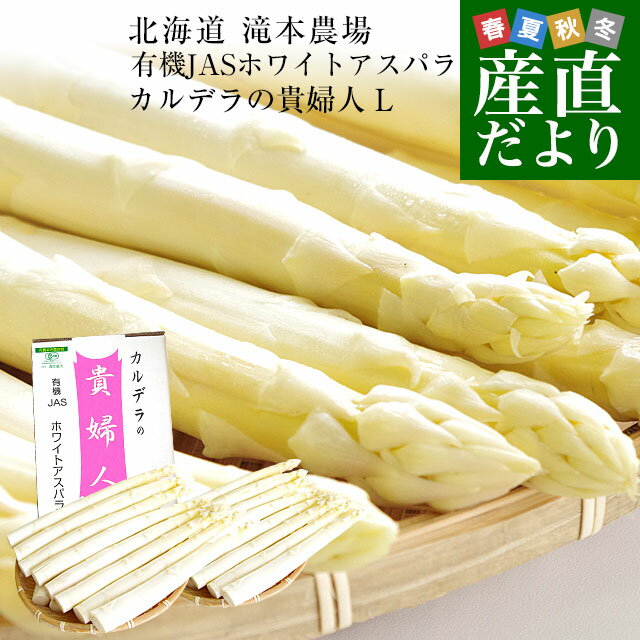 北海道より産地直送 赤井川村滝本農場の有機JASホワイトアスパラ「カルデラの貴婦人」 Lサイズ 約500g入り 送料無料 …