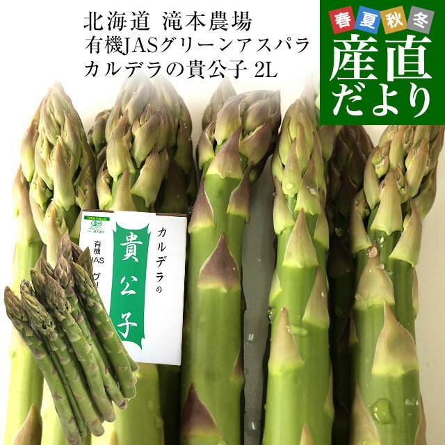 【ふるさと納税】下市町産　アスパラガス(約1kg)