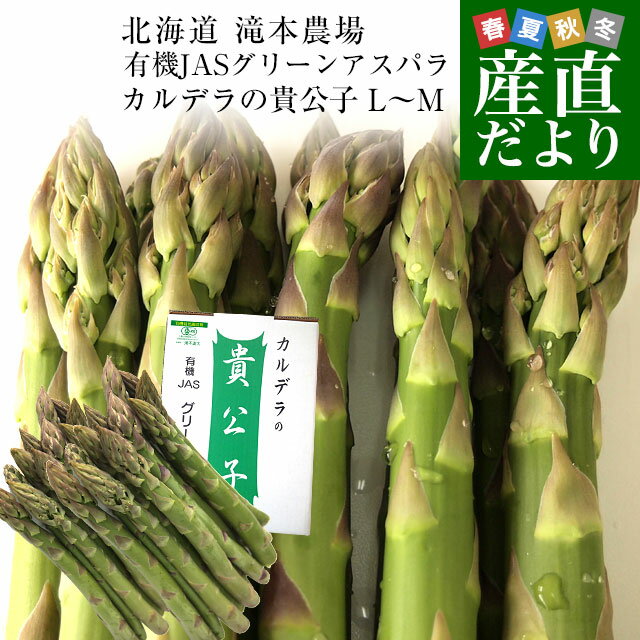 北海道より産地直送 赤井川村滝本農場の有機JASグリーンアスパラ「カルデラの貴公子」 LからMサイズ 約500g入り 送料無料 アスパラガス ※クール便発送