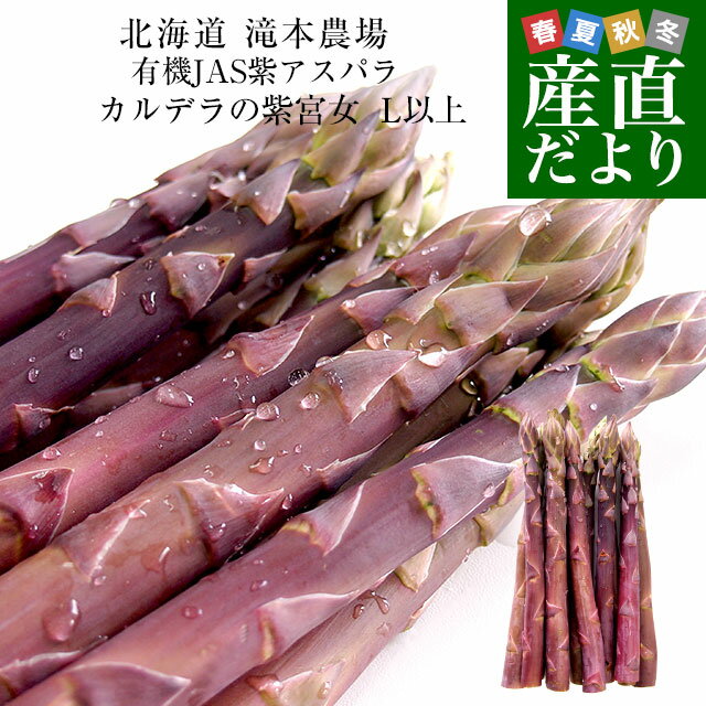 ̳ƻ껺ľ ְ¼ͭJAS祢ѥ ǥλܽ Lʾ 500g ̵ ѥ饬 ...