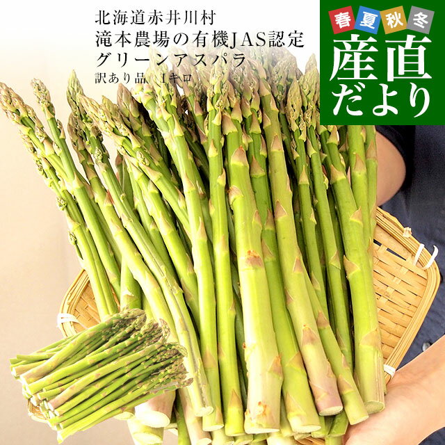 【連日出荷中】北海道産 ホワイトアスパラ (2L-3Lサイズ/冷蔵品)春の味覚 北海道アスパラ あすぱら アスパラ アスパラガス ホワイトアスパラ ホワイトアスパラガス 白アスパラ ギフト 贈り物 プレゼント 自宅用 おうち用 野菜 北海道 グルメ お取り寄せ