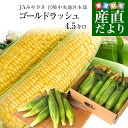 全国お取り寄せグルメ食品ランキング[とうもろこし(1～30位)]第26位