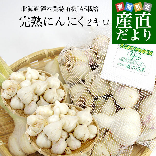北海道から産地直送 赤井川村 滝本さんの有機JAS完熟にんにく どっさり2kg分（1キロ×2袋）送料無料 にんにく ニンニク 大蒜のサムネイル