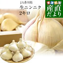 香川県より産地直送 JA香川県 生にんにく 2キロ (15玉から36玉前後) 送料無料 生ニンニク 大蒜 葫 香川にんにく