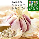 香川県より産地直送 JA香川県 生にんにく 訳あり 2キロ (12玉から20玉前後) 送料無料 生ニ ...