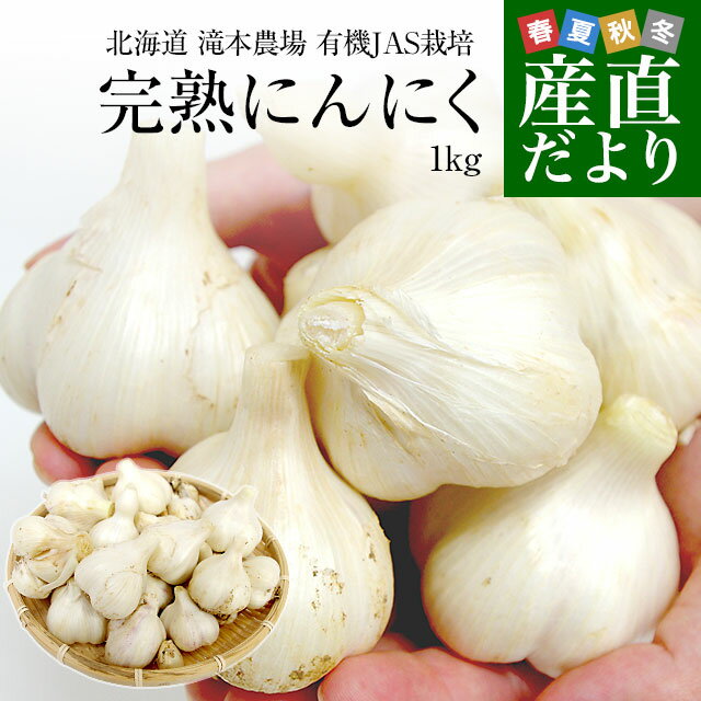 北海道から産地直送 赤井川村 滝本さんの有機JAS完熟にんにく　どっさり1kg分（25玉前後）送料無料 にんにく ニンニク 大蒜のサムネイル