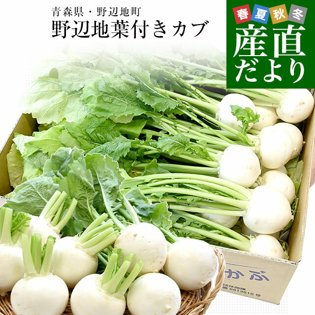 青森県産 野辺地葉付きこかぶ 約5キロ Lから2Lサイズ（約25玉から30玉入り）送料無料 かぶ 株 野菜 クール便のサムネイル