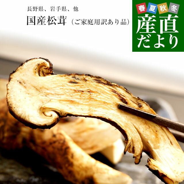 国産松茸（ご家庭用・訳あり品）身の割れ、欠け、規格外含む 200g以上（2本から10本） 送料無料 クール便 まつたけ マツタケ 市場発送のサムネイル