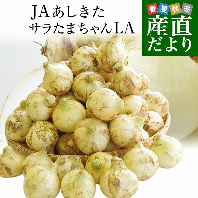 熊本県より産地直送 JAあしきた サラたまちゃん LAサイズ 約10キロ (30玉前後) 送料無料 玉葱 タマネギ サラ玉 さらたま さらタマ