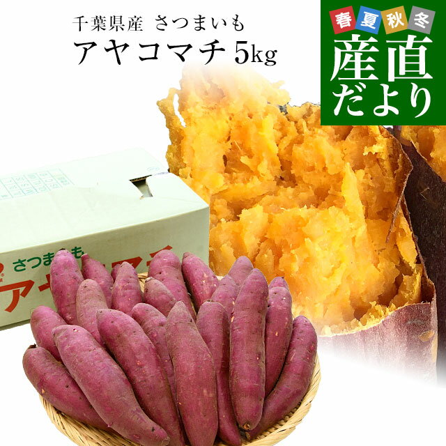 千葉県産　JAかとり　アヤコマチ　Mサイズ5キロ　20本前後　送料無料　さつまいも　サツマイモ　薩摩芋　にんじん芋　オレンジ芋　野菜　市場発送のサムネイル