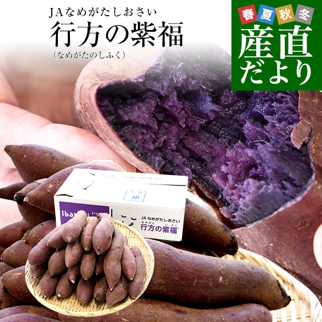 茨城県産 JAなめがたしおさい 行方の紫福（なめがたのしふく）品種名：ふくむらさき Mサイズ 約5キロ（18本前後） 送料無料 さつま芋 さつまいも サツマイモ 薩摩芋 紫芋 むらさき芋 市場発送