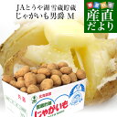 JAとうや湖 雪蔵貯蔵じゃがいも (男爵) Mサイズ 10キロ