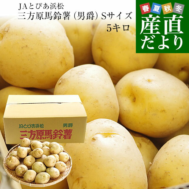 静岡県産 JAとぴあ浜松 三方原馬鈴薯（男爵） Sサイズ 5キロ ばれいしょ じゃがいも ジャガイモ ...
