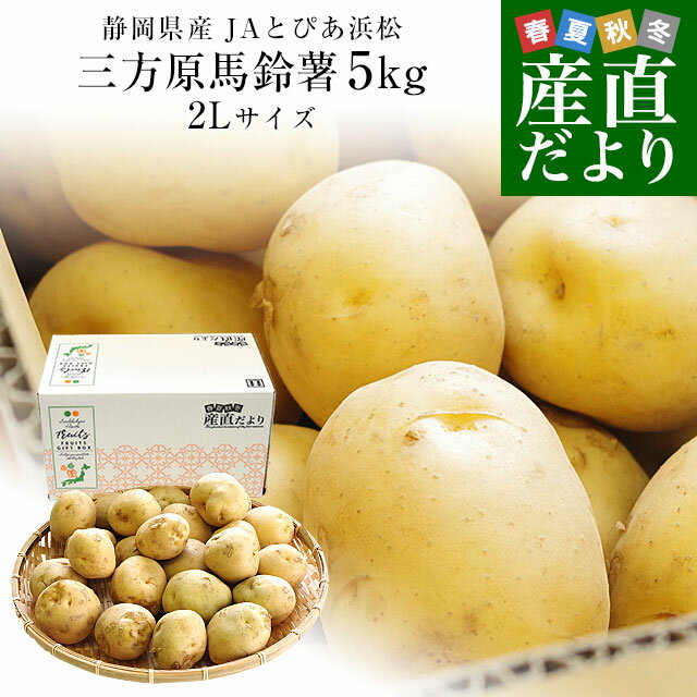 静岡県産 JAとぴあ浜松 三方原馬鈴薯 2Lサイズ 約5キロ（25玉前後） 送料無料 じゃがいも ジャガイモのサムネイル