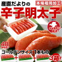 【送料無料】福岡加工「辛子明太子」ゴールデンサイズ 1本もの 320g (7〜8本)×3箱【楽ギフ_のし】 - 産直だより+Plus