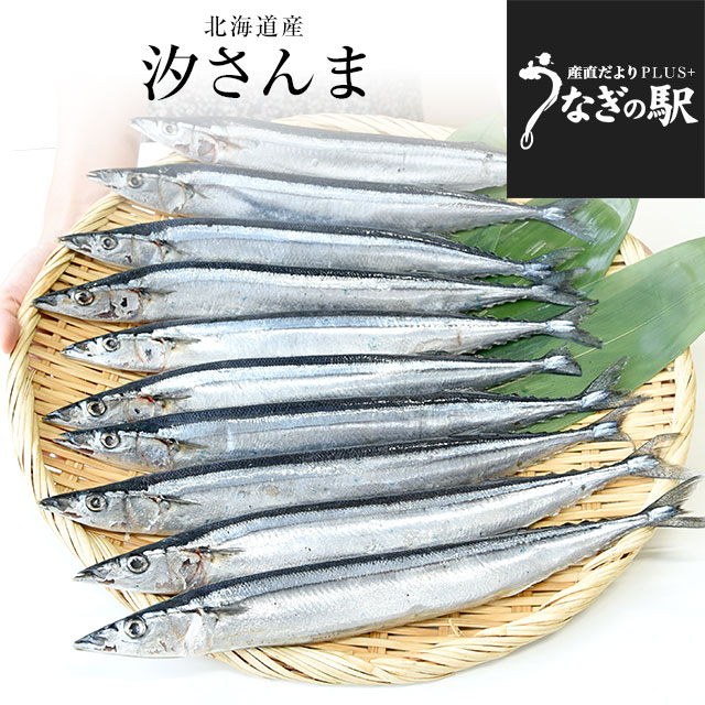 北海道産 汐さんま 10尾 合計約1.1キロ(1尾あたり約110g) 送料無料 秋刀魚 さんま サンマ 魚介