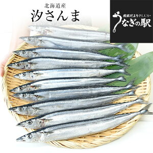北海道産 汐さんま 10尾 合計約1.1キロ(1尾あたり約110g) 送料無料 秋刀魚 さんま サンマ 魚介