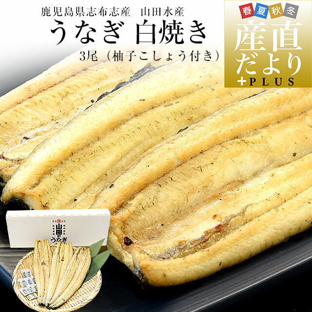 浜名湖うなぎのあいかね特上うなぎ白焼き2匹セット送料無料真空包装　冷凍便にてお届け